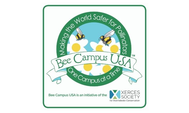 bee campus logo